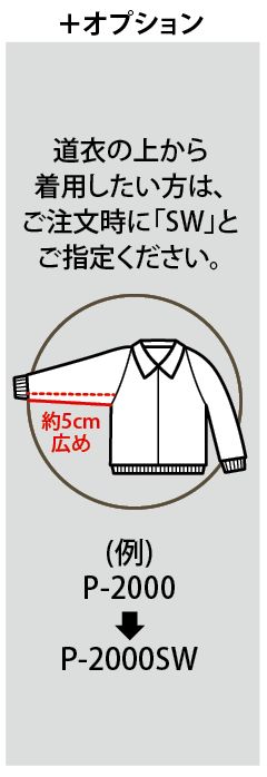 パズモオプション